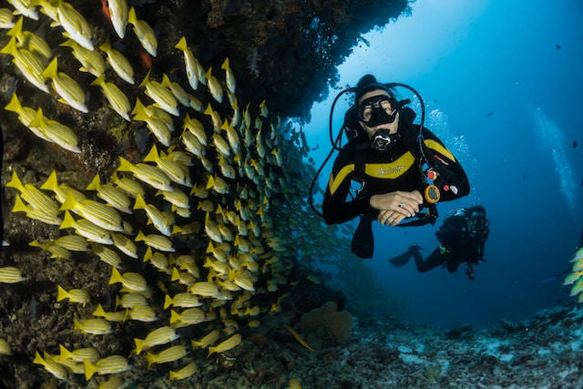 photo of a scuba diver underwater