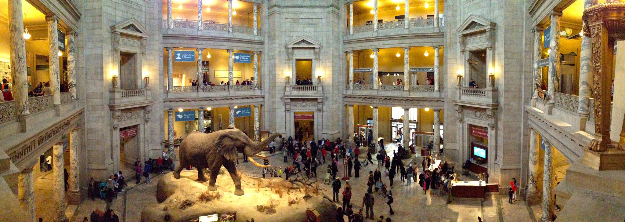 Smithsonian Museum of Natural History, photo by Blake Patterson